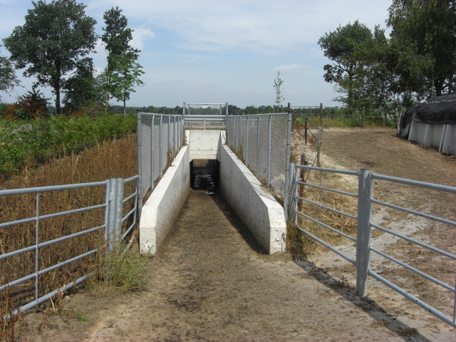 bouw koetunnel